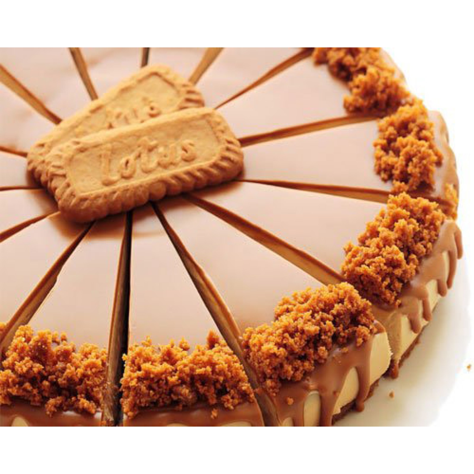 Lotus Biscoff Cheesecake